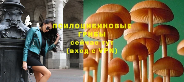 ешки Абаза